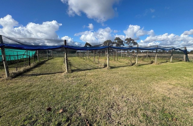 Farm Stay, feed sheep and relax close to airport