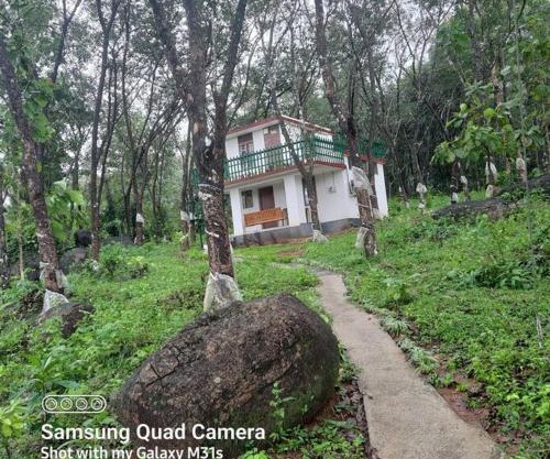 Farm stay in a coffee plantation near Athirappally