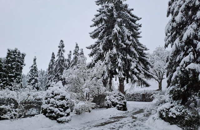 Ferienwohnung in Schramberg-sulgen am Rande des Schwarzwaldes