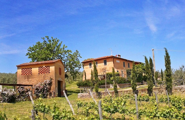 Feriale I. Charming family stays with pool and garden over organic vineyards