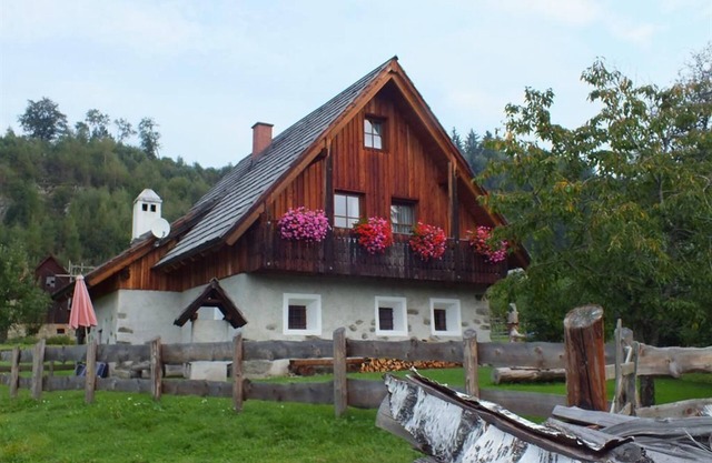 Ferienhaus "alte Schmiede" - Ferienhaus/3 Schlafräume/Dusche, WC