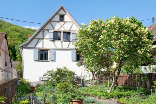 Ferienhaus Hildahüsli