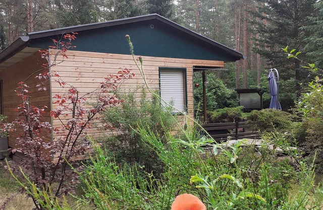 Ferienhaus Waldoase für 2 - 3 Personen, Freistehend auf Eingezäuntem Grundstück