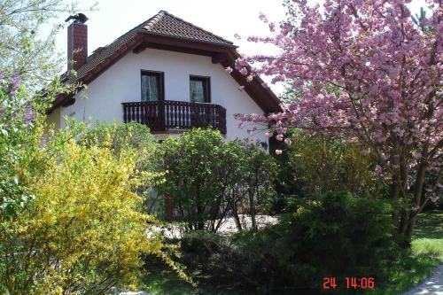 Ferienhaus "Werrablick-Frankenroda"