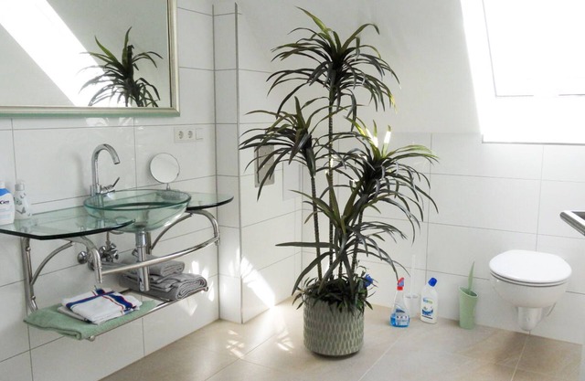 Ferienwohnung 1A, 67qm, Sonnenterrasse mit Liege, 1 Wohn-/Schlafzimmer, max. 2 Personen