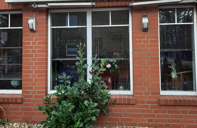 Ferienwohnung/app. für 2 Gäste mit 75m² in Meppen