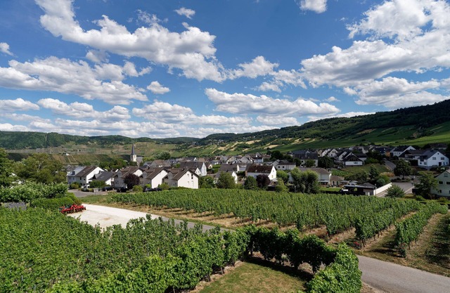 Ferienwohnung "laurentiusblick" mit Panoramablick in den Weinbergen von Leiwen