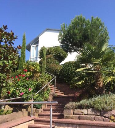 Ferienwohnung Palmenalm