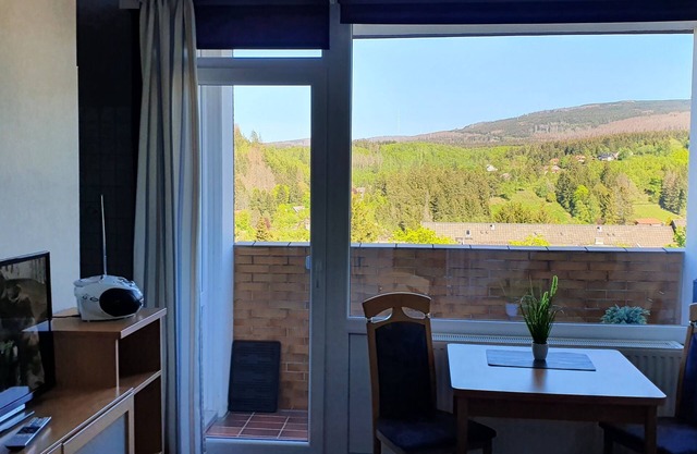 Fewo Altenau, Bergblick und Wlan