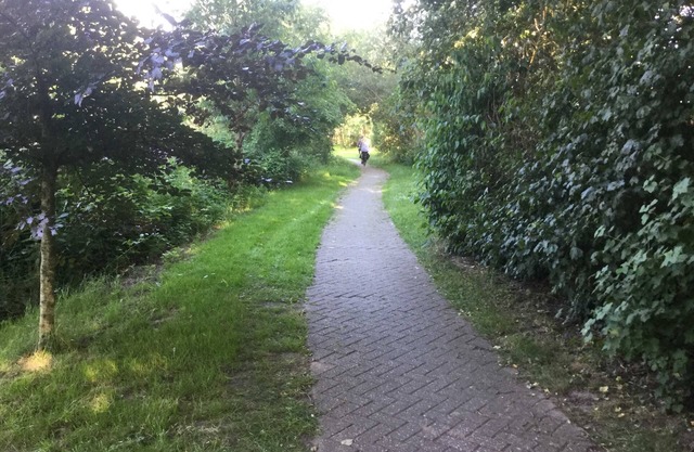 FeWo am Ringkanal - Holiday apartment Am Ringkanal