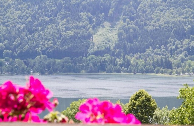 Fewo Wonta am Ossiachersee