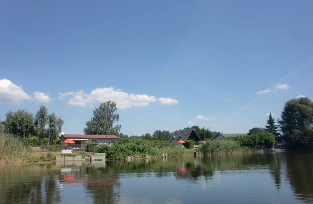 FH right on the water - beaver
