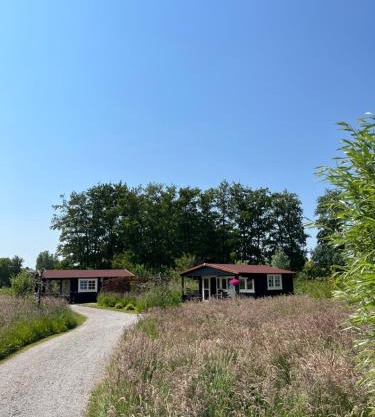 Fields 1216