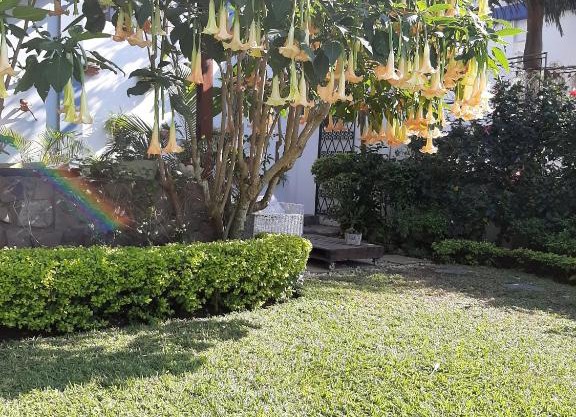 FIGTREE GUESTHOUSE
