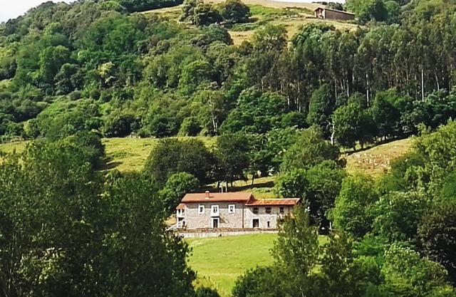 Finca Artienza
