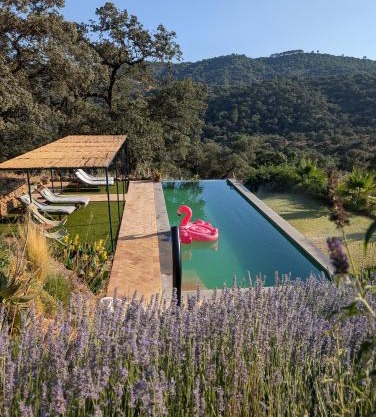 Finca Bravo