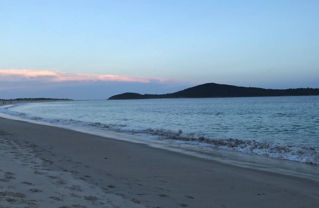 Fingal Bay, Port Stephens, dog friendly