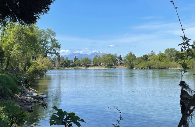 Fish on the Sacramento River!