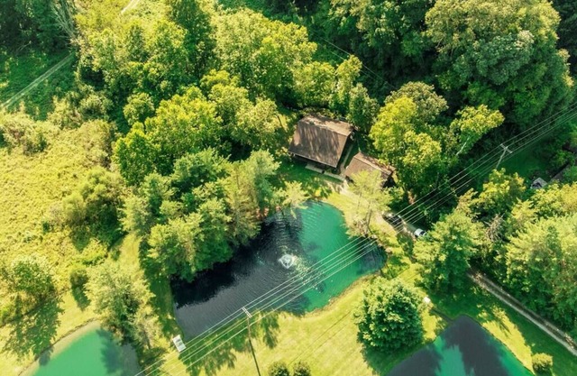 FISHING LODGE - 3 Stocked Ponds, Hot Tub, Sleeps 14, 8 acres, Arcade