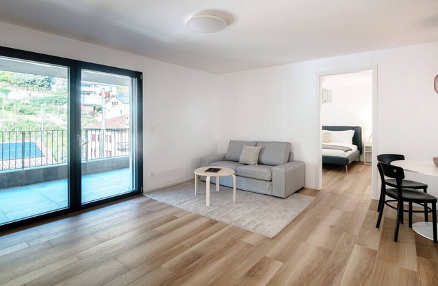 Flat with vineyard view near Bellinzona (GRAPPOLI 28)
