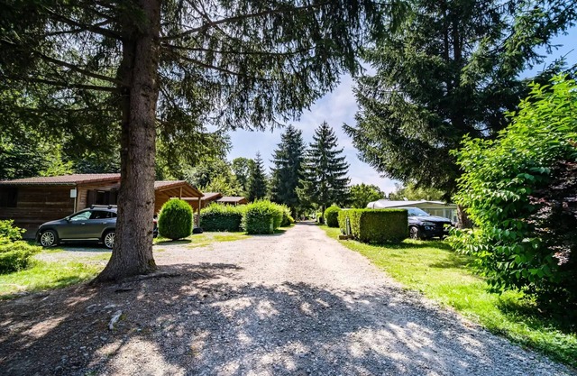 Flower Camping du Lac de la Seigneurie * - Chalet CONFORT Alpina 1 28 m2 (1 bedroom + 1 mezzanine bedroom) + wooden stove(011) 4 persons