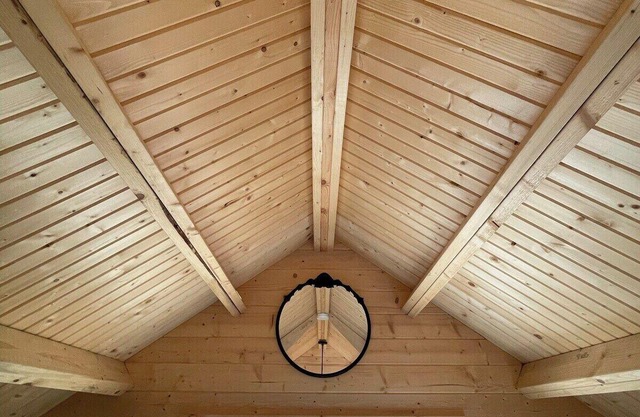 Forest Bunkie Trails & Stargazing