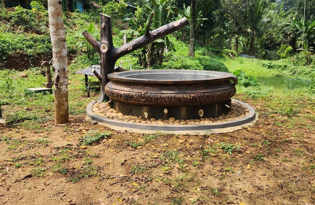 Forest home where elephants roam