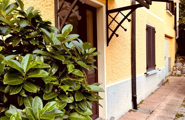 Forest Living, Cozy studio apartment located in Mendrisio.