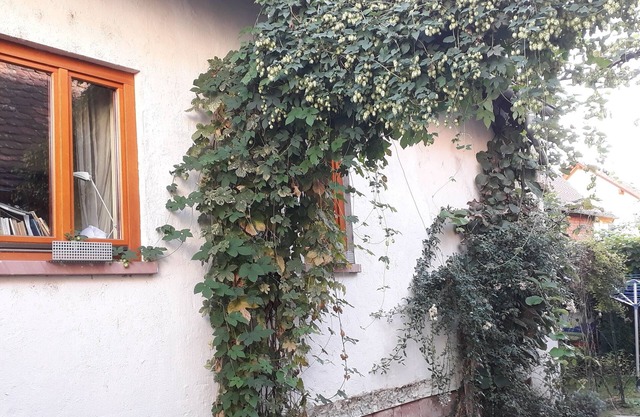 Former retirement home in Haus-Hof bauw