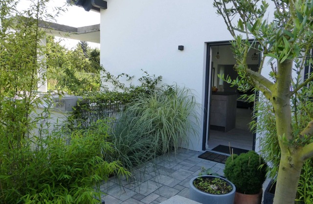 Forststrasse Apartment