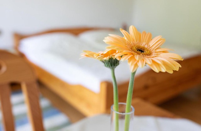 Frühstückspension Rottensteiner