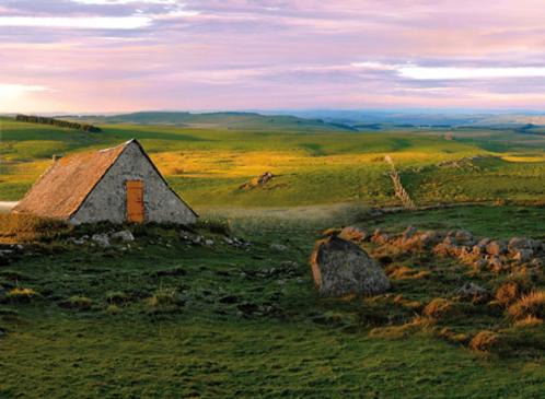 Fraîcheur , forêt d'Aubrac , au coeur de la nature