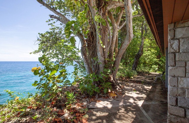 Frenchman's Cove Resort