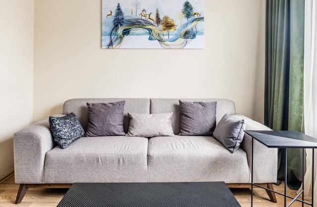 Fully Furnished and Spacious Flat in Kadikoy