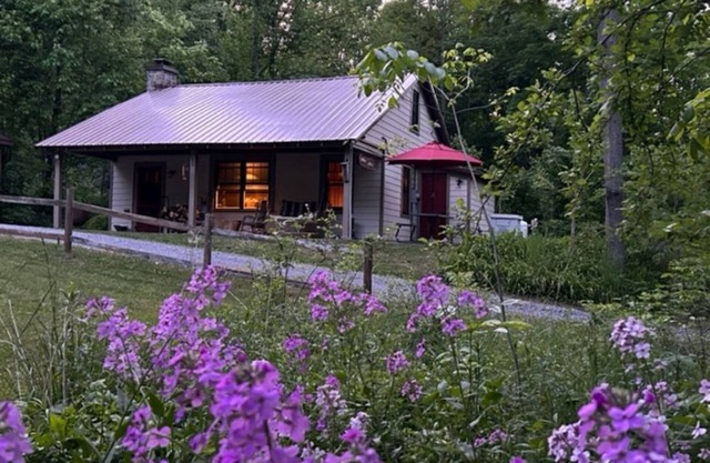 Fully remodeled Private Cabin on 60 acres with pond and stream