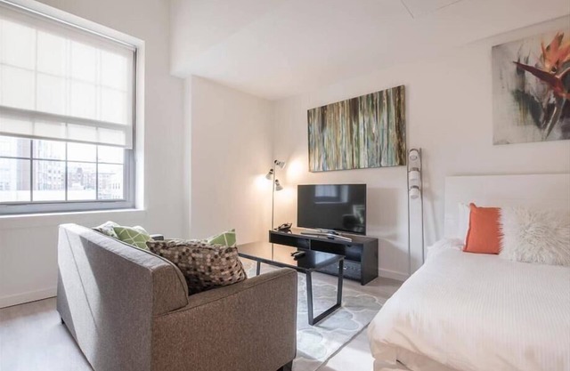 Furnished Delx Studio w/Full Kitchen & Fast WiFi | Boston