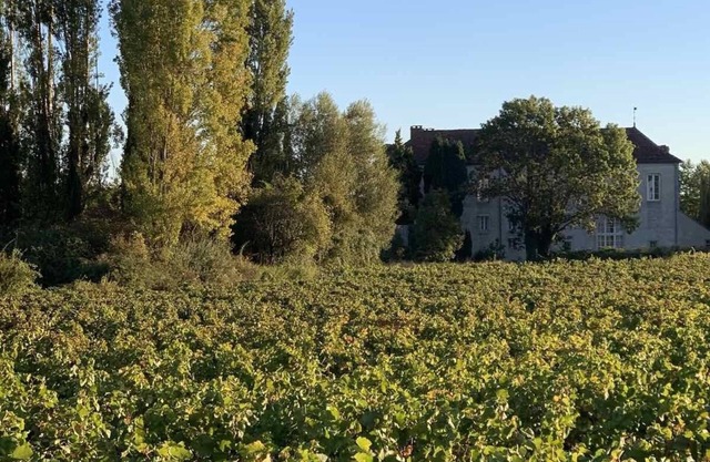 Gîtes bo Maisonnette de charme - View Clos Vougeot castle