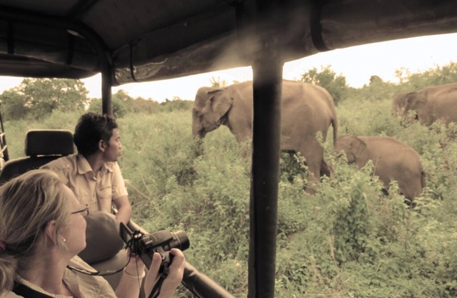 Gamping in Style bordering Udawalawe National park