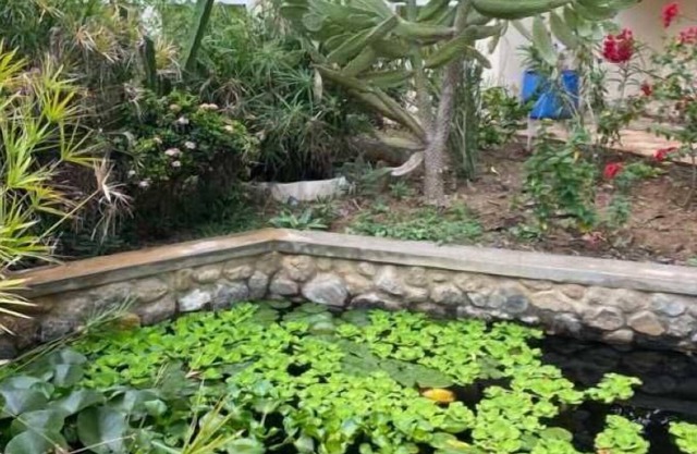 Garden Roomz Oman - the goto B&B spot in Muscat