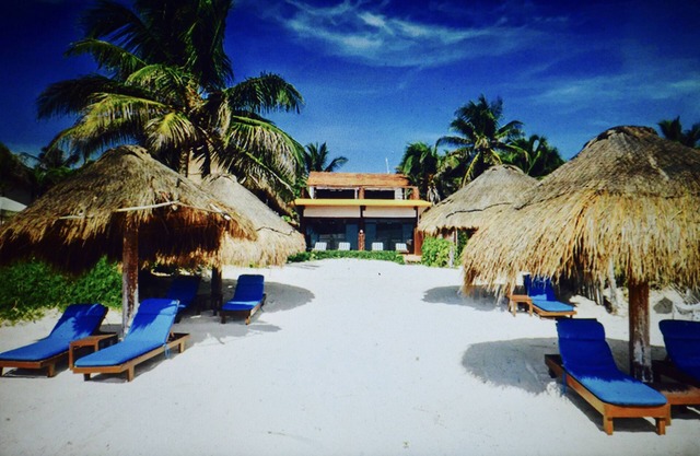 Garden View Studio on the Beach in Tulum ideal for couples, families or friends.
