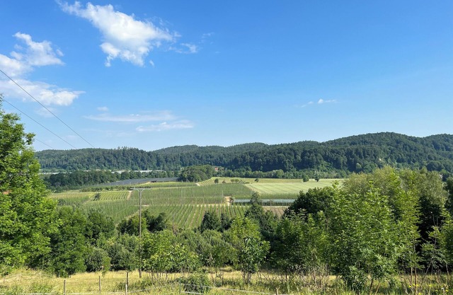 Garten mit Einzigartigem Panoramablick Nähe Tettnang, Bodensee und Messe