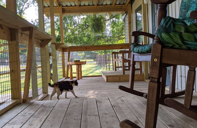 Gerries Place1 - PRIVATE- Unique Cottage- Rescue Llama Ranch - Suburb of Houston