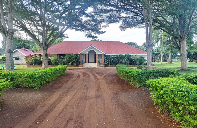 Get Ready to Explore to Mighty Murchison Falls, Ziwa Rhinos plus more.