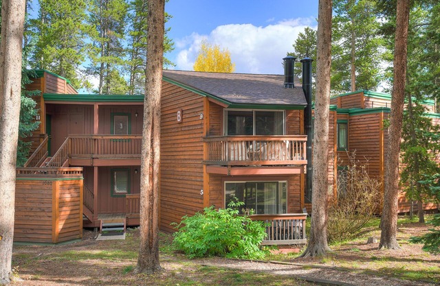 Ginsburg Mountain Retreat – Balcony Views, Steps to Free Shuttle, Easy Access to Peak 8