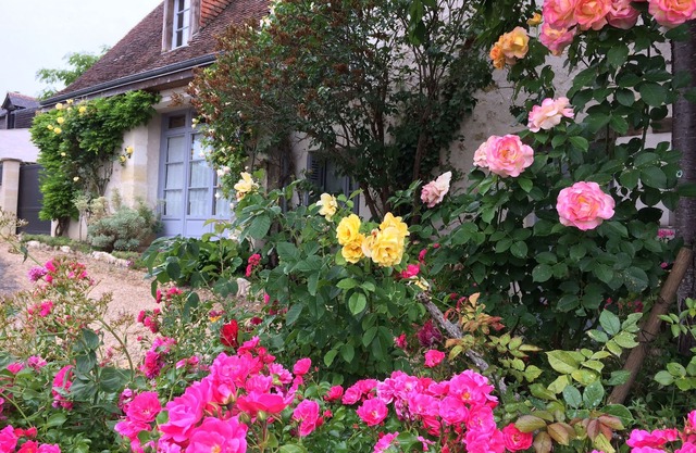 GITE, CHARMING HOUSE CLASSIFIED 3 STARS IN AMBOISE overlooking the Loire