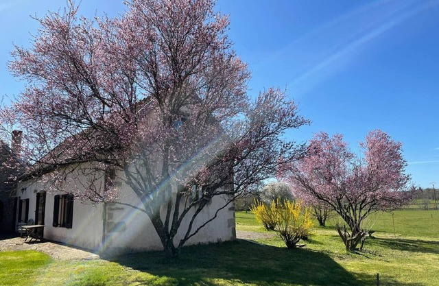 Gîte de la fontaine salée, a haven of peace in the heart of the Auxois meadows.