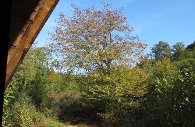 Gite de la Serrée en Morvan