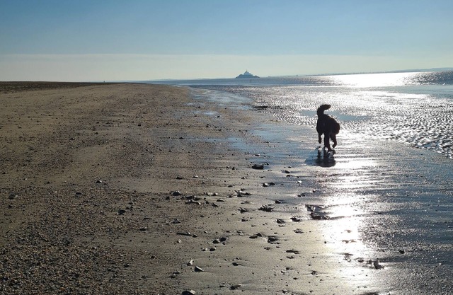 Gite "Le Mont Saint Michel" 600 m de la Plage Chèques Vacances Acceptés