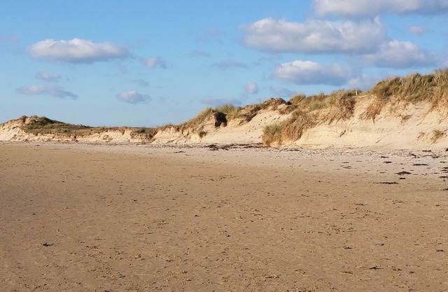 Gîte Les Houguettes, charming gîte for 7 people, 600m from the beach