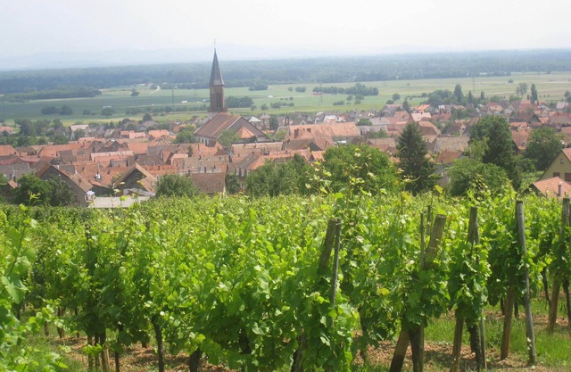 Gite on the wine route in peace with beautiful view of Kintzheim castle